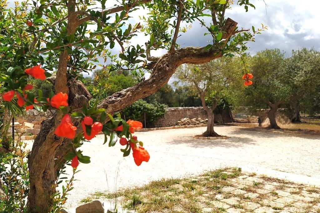 Villa Trullo Mami Putignano Esterno foto