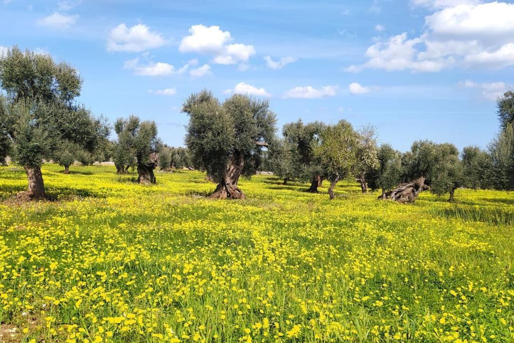 Villa Trullo Mami Putignano Esterno foto